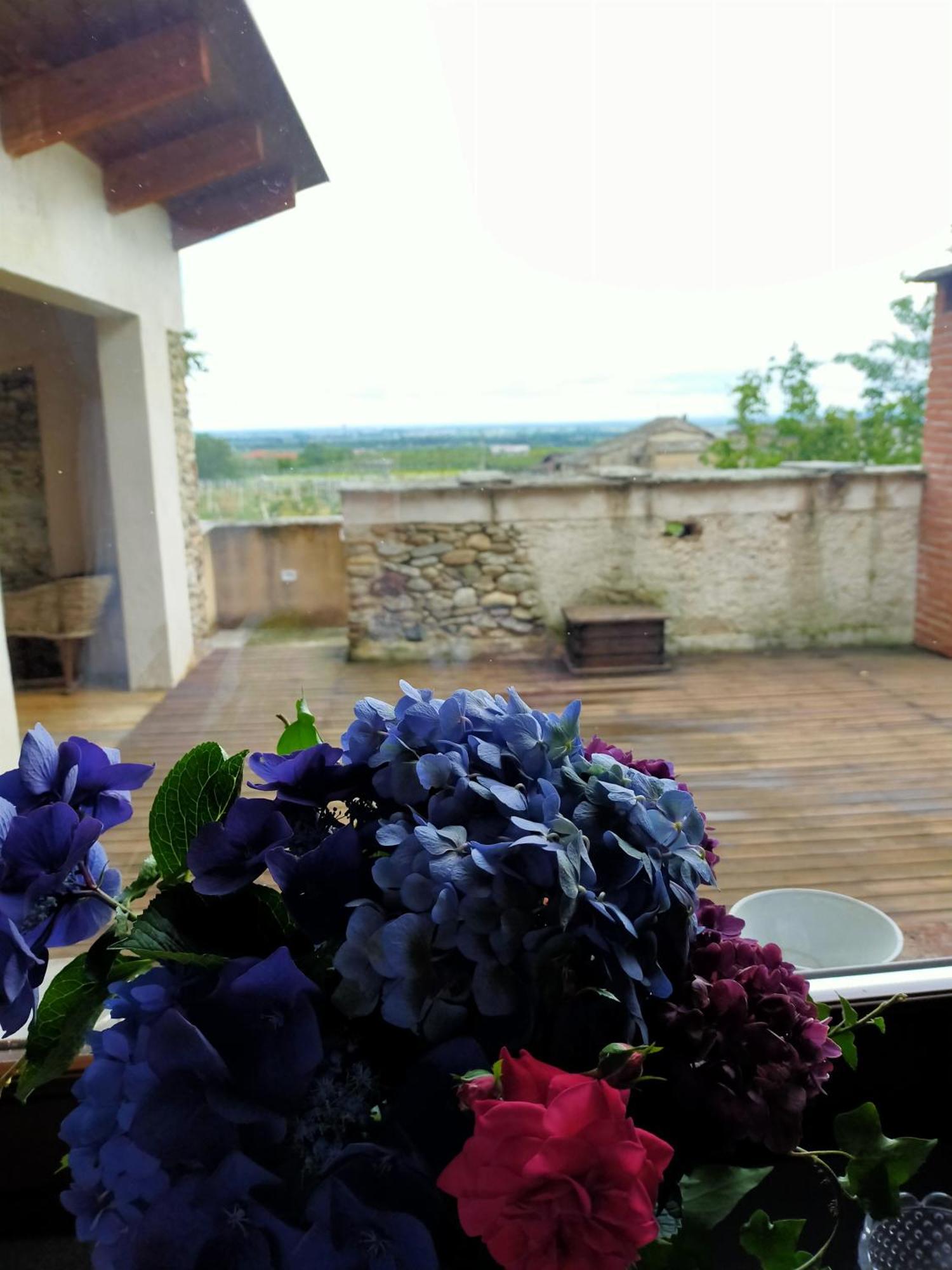 Villa Agriturismo Magnarosa Barge Zimmer foto